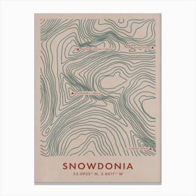 Snowdonia Topo Map Canvas Print