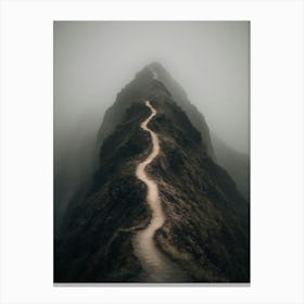 Foggy Mountain Path Canvas Print