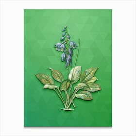 Vintage Daylily Botanical Art on Classic Green Canvas Print