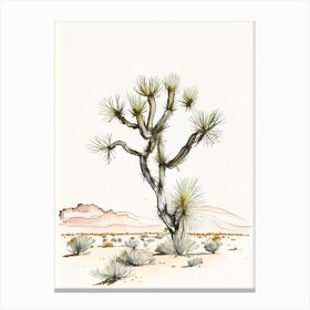 Joshua Tree In Desert Minimilist Watercolour  (2) Canvas Print
