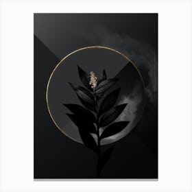 Shadowy Vintage Smilacina Stellata Botanical on Black with Gold n.0149 Canvas Print
