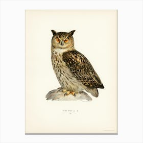 Eurasian Eagle Owl, The Von Wright Brothers Canvas Print