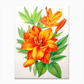 Orange Lily 2 Canvas Print