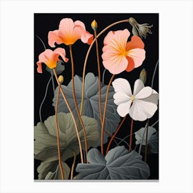 Flower Illustration Nasturtium 3 Canvas Print