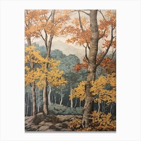 Gray Birch 1 Vintage Autumn Tree Print  Canvas Print