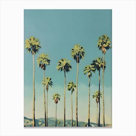 Palm Trees 12 Canvas Print