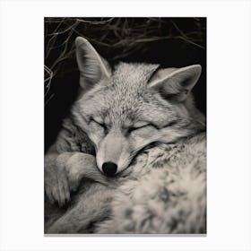 Gray Fox Close Up Realism 3 Canvas Print