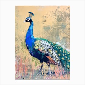 Sketch Of A Peacock Walking 2 Canvas Print