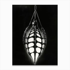 Spider Web Canvas Print