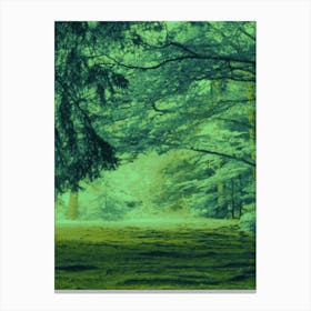 Green Forest in summer Toile