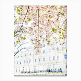 White London Blossom Canvas Print