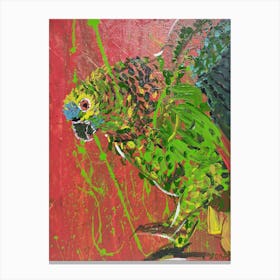 Parrot Canvas Print