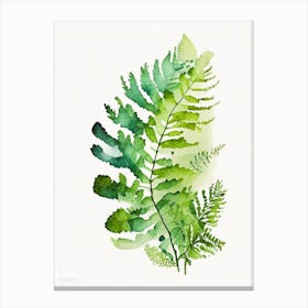 Maidenhair Fern Watercolour Canvas Print