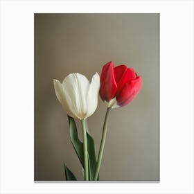 Poster Tulips Canvas Print