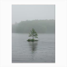 Lone Tree In The Fog 1 Canvas Print