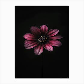 Daisy 6 Canvas Print