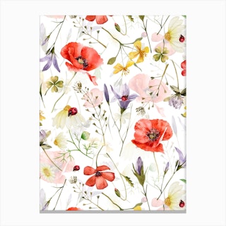 Scandinavian Midsummer  Herbs And Wildflowers Meadow Canvas Print
