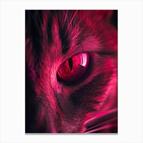 Cat Eye With Red Light Canvas Print