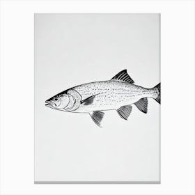 Black Sea Bass Black & White Drawing Canvas Print
