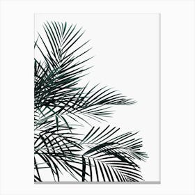 Minimal Palm Leaf Canvas Print