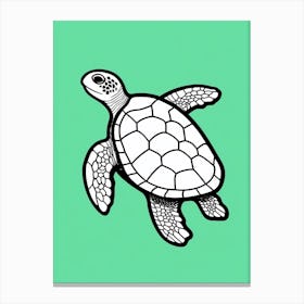 Block Colour Linework Turtle Illustration 1 Canvas Print