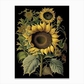 Sunflower 2 Floral Botanical Vintage Poster Flower Canvas Print