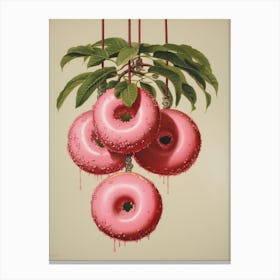 Donuts 3 Canvas Print