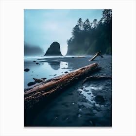 Driftwood On The Beach 2 Canvas Print