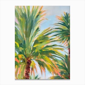 Lady Palm 3 Impressionist Painting Plant Canvas Print