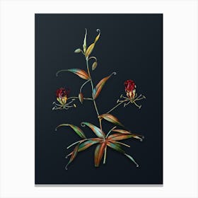 Vintage Flame Lily Botanical Watercolor Illustration on Dark Teal Blue n.0952 Canvas Print