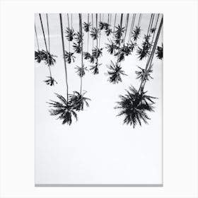 Palm Trees Up Side Down Black White Canvas Print