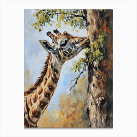 Giraffe Against The Tree 2 Canvas Print