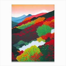 Fuji Hakone Izu National Park Japan Abstract Colourful Canvas Print