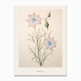 Floral Illustration Love In A Mist Nigella 2 Poster Canvas Print