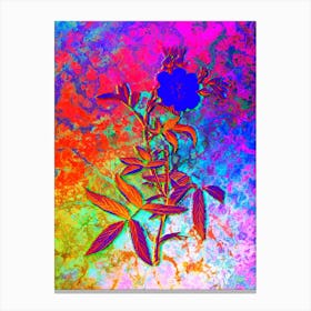 White Rose of York Botanical in Acid Neon Pink Green and Blue n.0257 Canvas Print