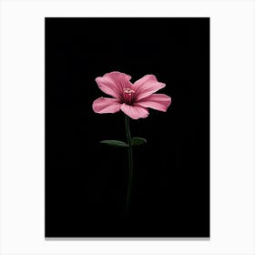 Pink Flower On A Black Background 1 Canvas Print