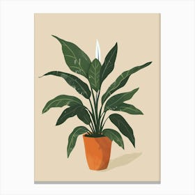 Chinese Evergreen Plant Minimalist Illustration 6 Canvas Print