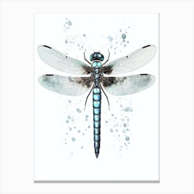 Dragonfly Darner Aeshna 2 Canvas Print