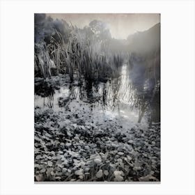 The Lake 3 Canvas Print