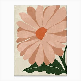 Pink Daisy Canvas Print