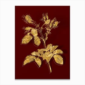 Vintage Evrat's Rose with Crimson Buds Botanical in Gold on Red Canvas Print