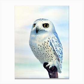 Snowy Owl 2 Watercolour Bird Canvas Print
