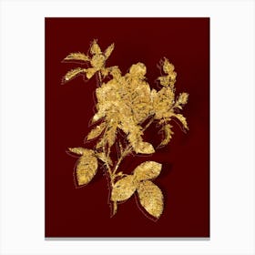 Vintage Cabbage Rose Botanical in Gold on Red n.0466 Canvas Print
