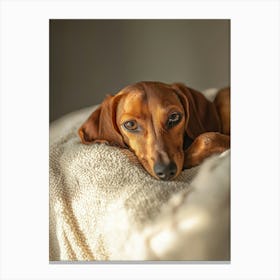 Dachshund.Generated AI. Wall Art Print Toile