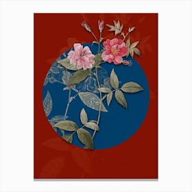 Vintage Botanical Hudson Rosehip on Circle Blue on Red n.0216 Canvas Print