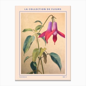 Fuchsia French Flower Botanical Poster Canvas Print