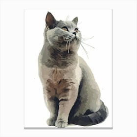 British Shorthair Cat Clipart Illustration 2 Canvas Print