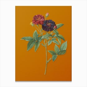 Vintage Van Eeden Rose Botanical on Sunset Orange n.0358 Canvas Print