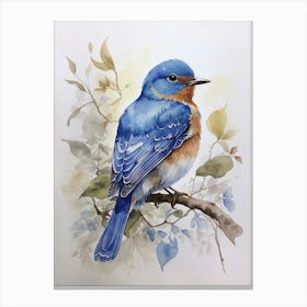 Bluebird 1 Canvas Print