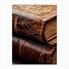 Old Books 4 Canvas Print